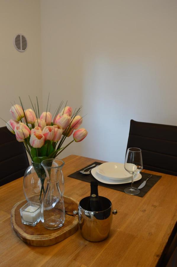 נובה גוריקה Apartment Kancler מראה חיצוני תמונה