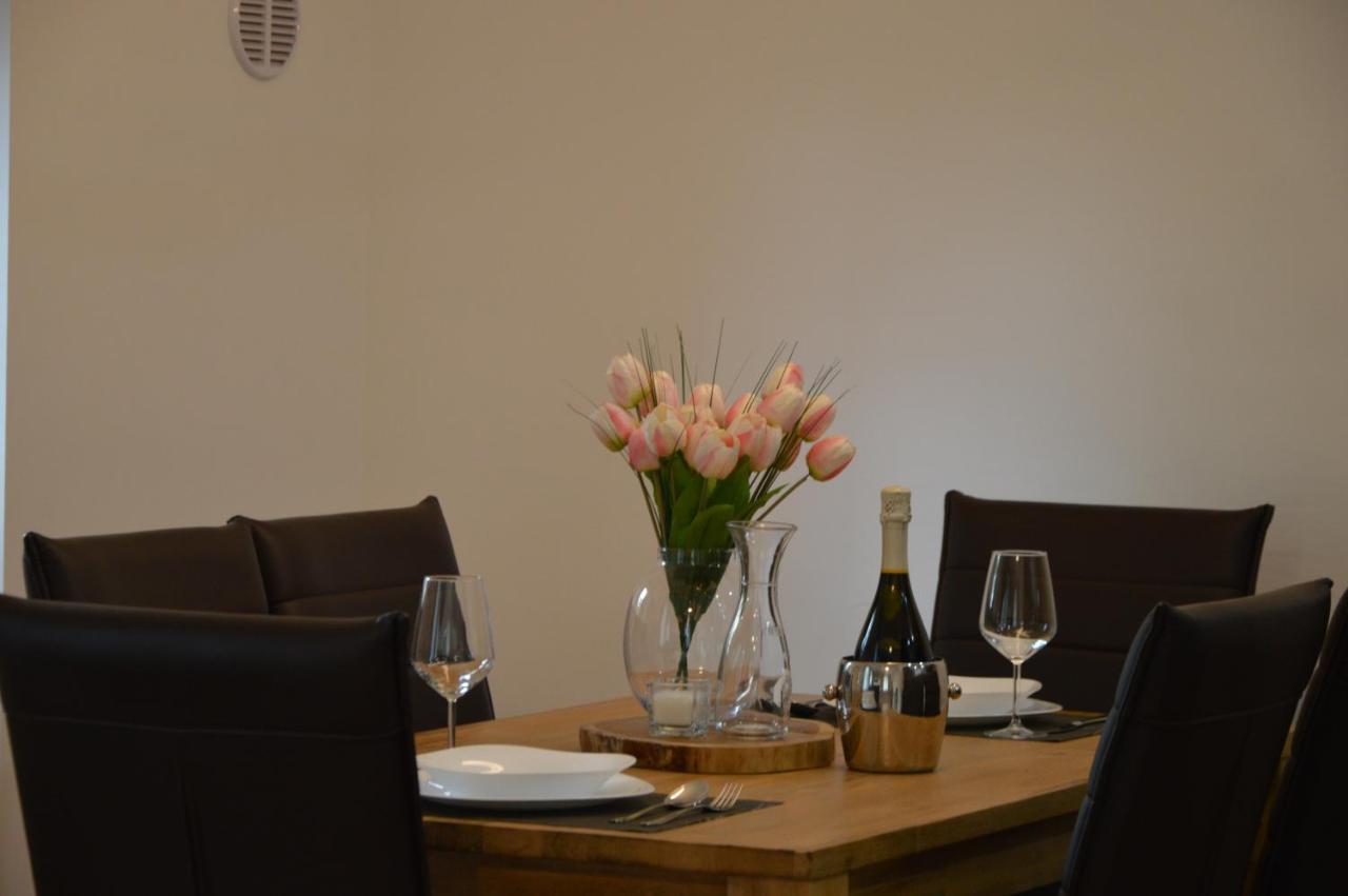 נובה גוריקה Apartment Kancler מראה חיצוני תמונה