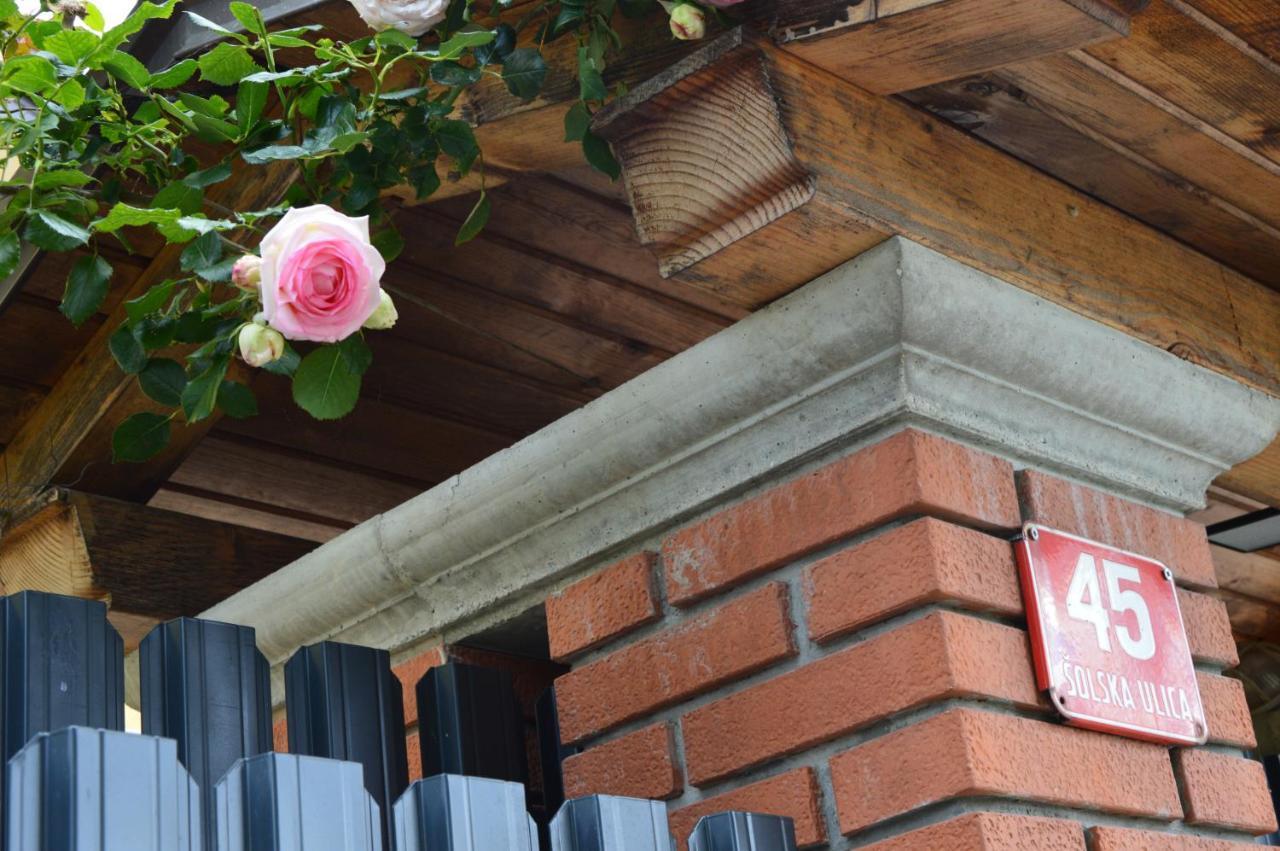 נובה גוריקה Apartment Kancler מראה חיצוני תמונה