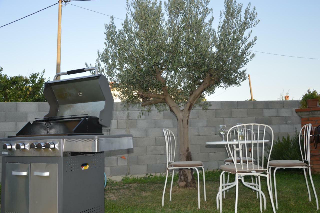 נובה גוריקה Apartment Kancler מראה חיצוני תמונה